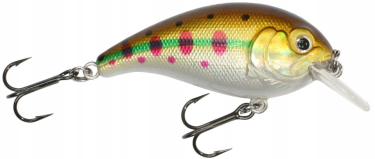 9b4c4cb0358fe436b05d9e988e26c32c