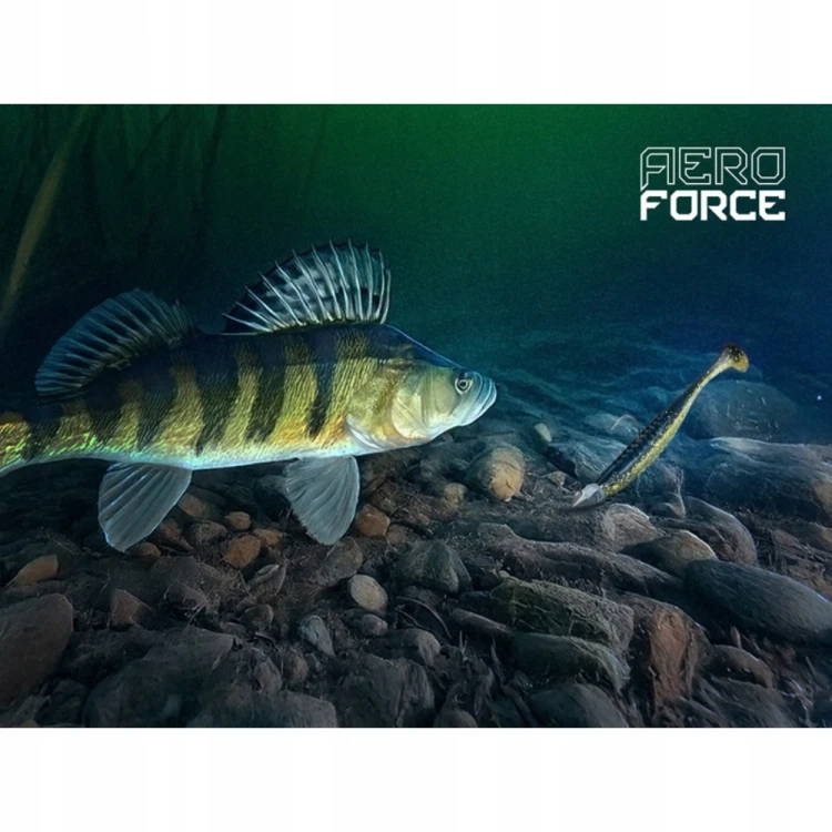 71e7165b8bdc181c60cbdb609545c33e