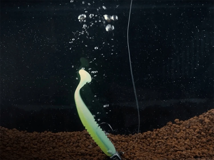 bab954a87b4b9b96173761a79b7289cf