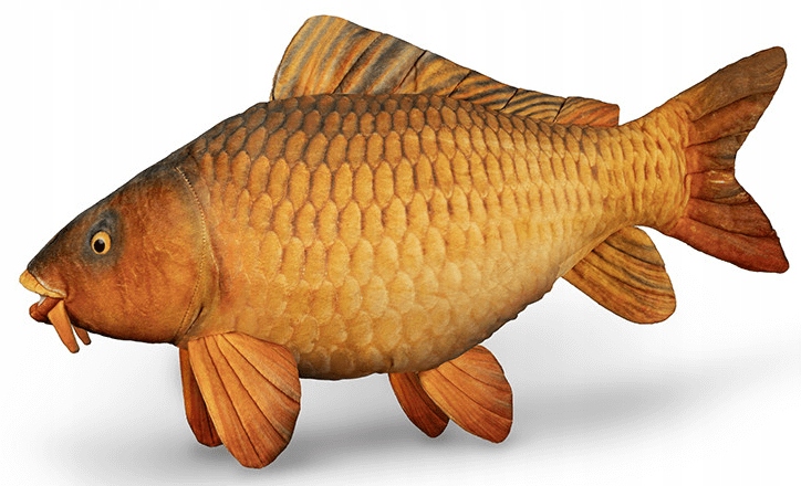 fb4c4207e63ee5b16b9c5ca4fcdc7e67