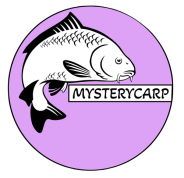 Logo tekstowe - strona główna